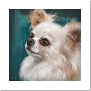 Cute Furry White and Brown Chihuahua on Dark Green Background Posters and Art